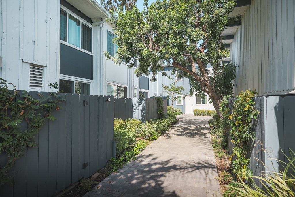 A pathway between two buildings with a tree in the middle.