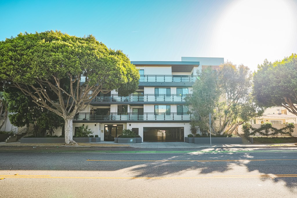 A modern building with a tree in front of it.