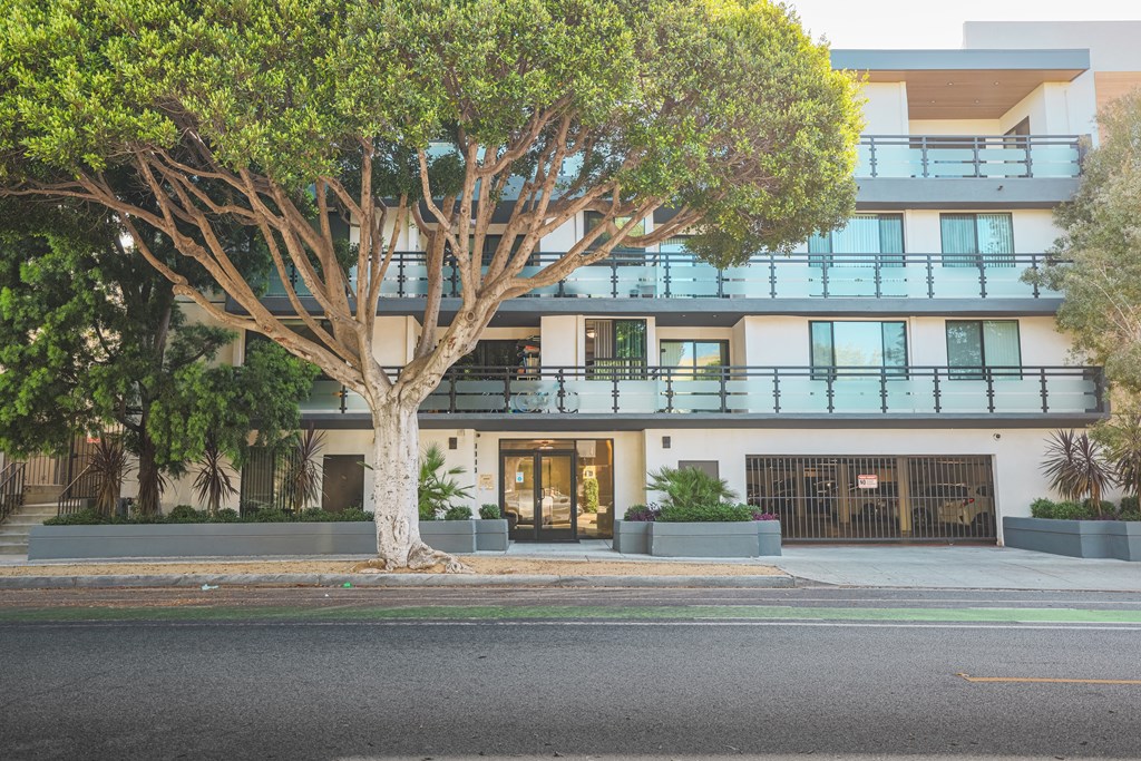 A tree in front of a modern building.