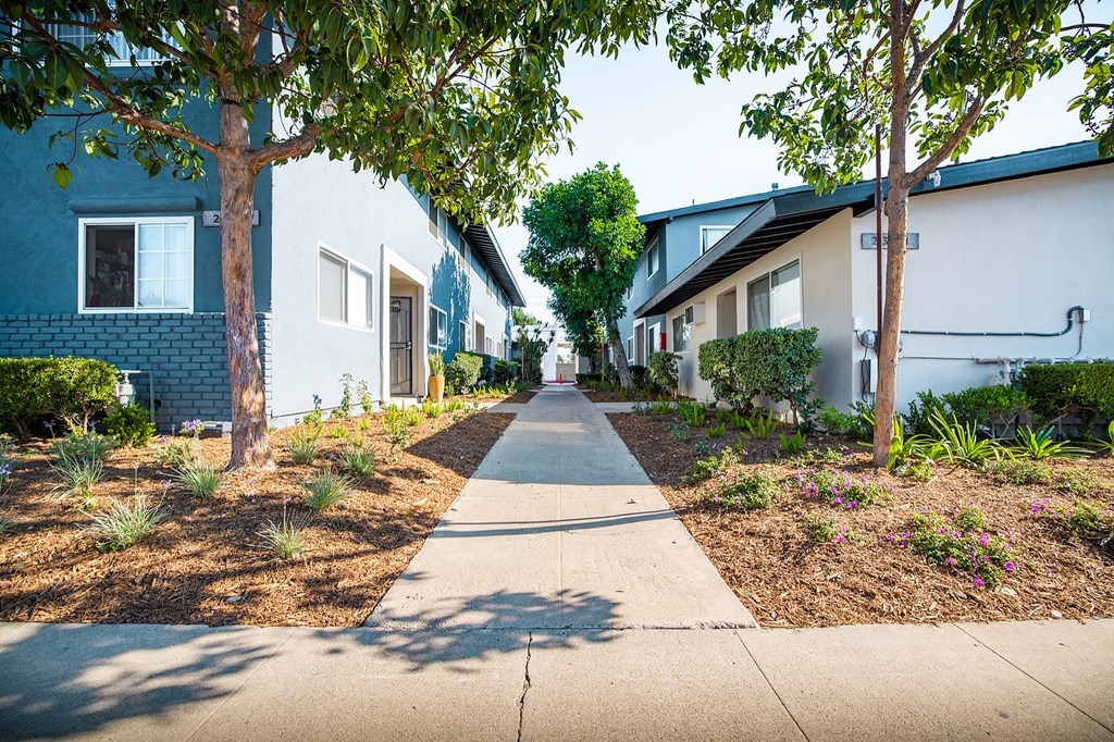 A tree-lined sidewalk leads through a quiet residential area.