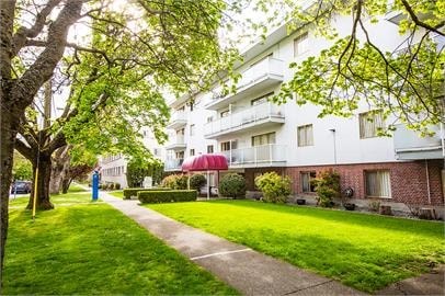 A tree-lined street with apartment buildings on either side.