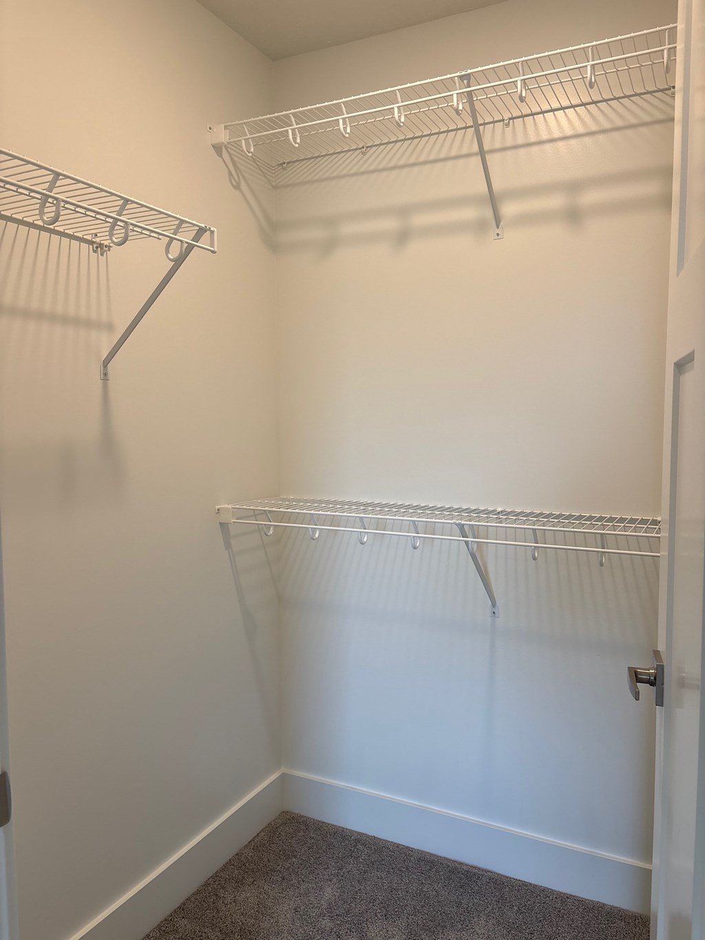 A white closet with a grey carpet and a white door.