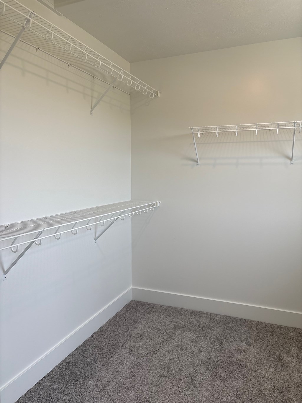 A white closet with a grey carpet.