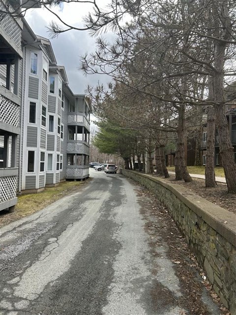 A car is parked on a residential street lined with trees and houses.