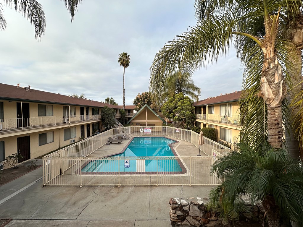 A pool surrounded by a fence with a palm tree in the background.