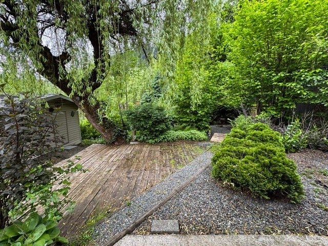 A garden with a wooden path and gravel bed.