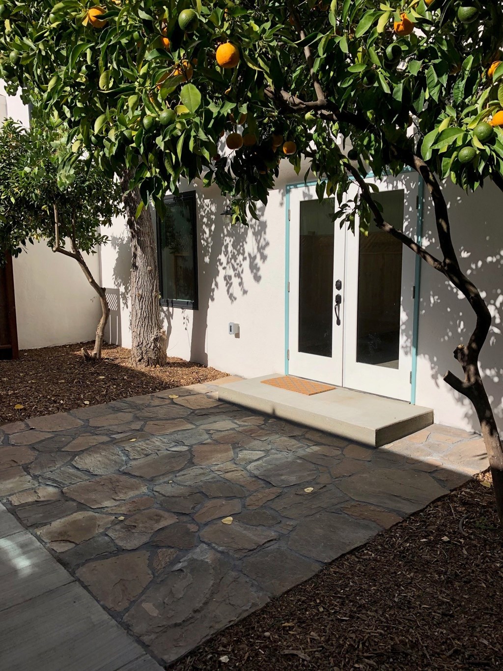 A tree with oranges growing on it is in front of a white building.