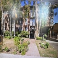 A sunny day in a courtyard with a pathway, greenery, and a building in the background.