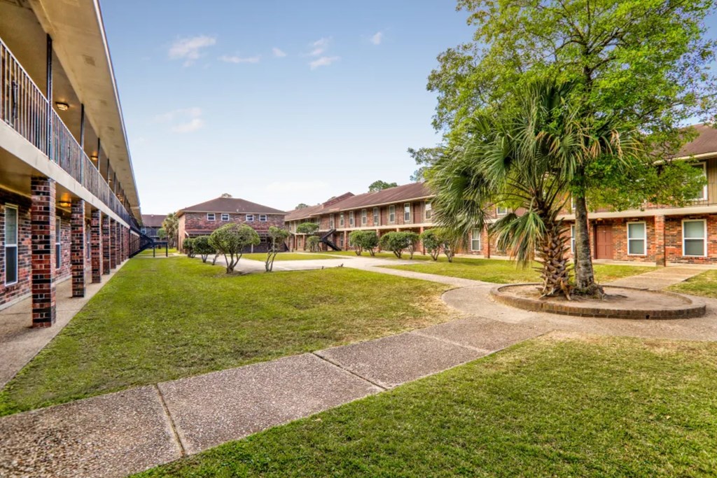 A tree in a grassy area in front of apartment buildings.