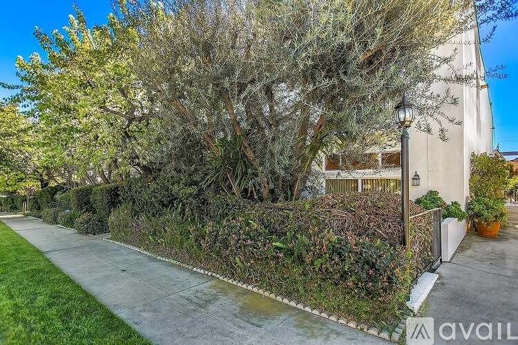 A residential area with a house, trees, and a sidewalk.