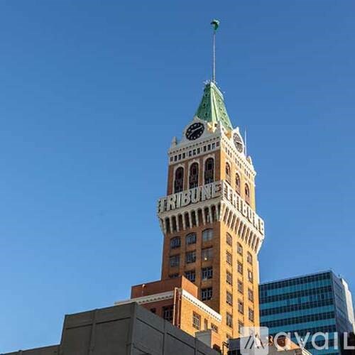 The Tribune building is a tall structure with a green roof and a clock on it.