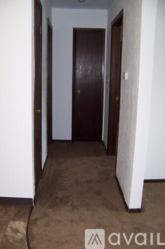 A hallway with a brown carpet and a brown door.