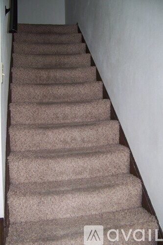 A staircase with beige carpeted steps and a dark wooden handrail.