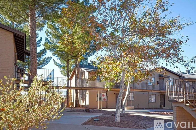 A tree with yellow leaves is in front of a building.