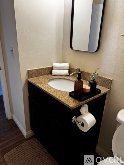 A bathroom with a sink, mirror, and toilet paper.