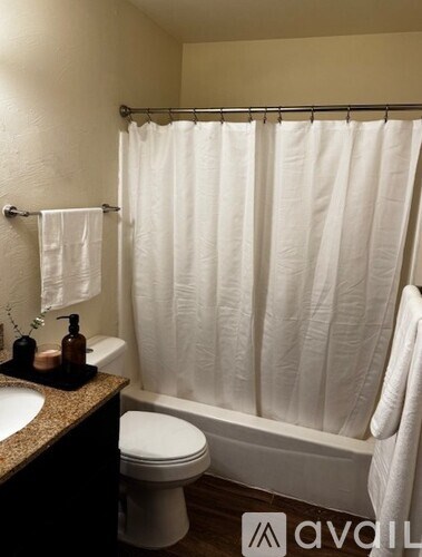 A bathroom with a white toilet, sink, and shower curtain.