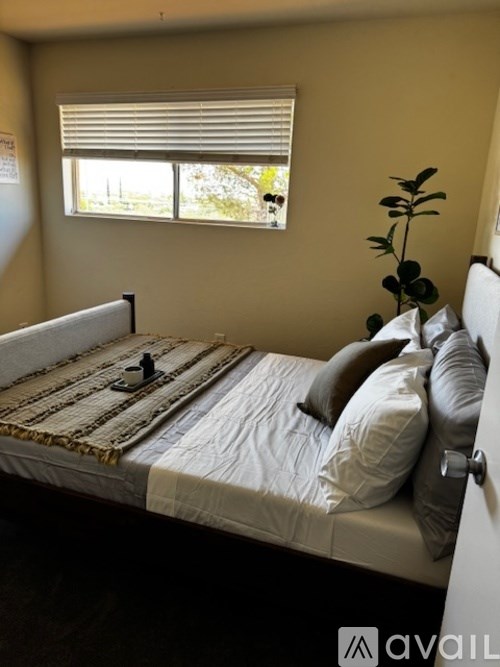 A bedroom with a bed, pillows, and a plant.