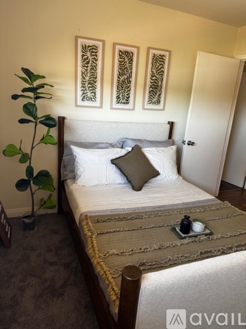 A bedroom with a bed, a plant, and three framed artworks on the wall.