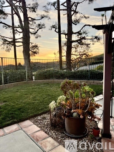 A potted plant sits on a patio with a sunset in the background.