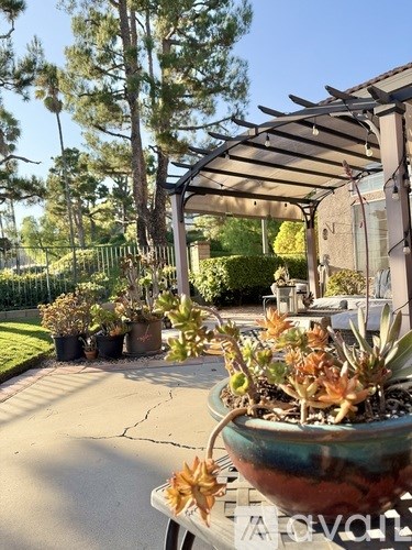 A black planter with a variety of succulents in it.