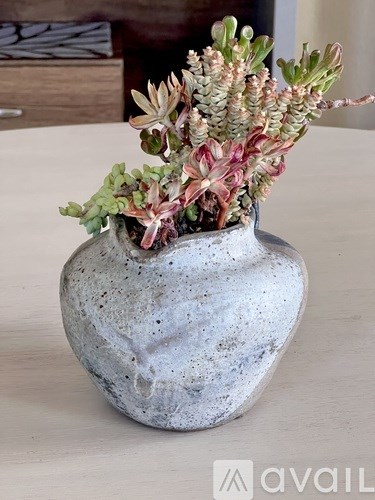 A vase of red flowers sits on a table.