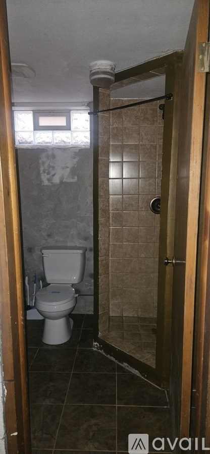 A bathroom with a toilet and a walk-in shower.