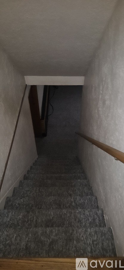 A staircase with a carpeted runner and wooden handrail.