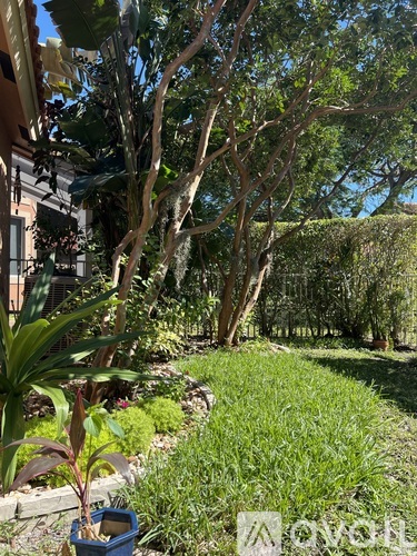 A garden with a variety of plants and trees.