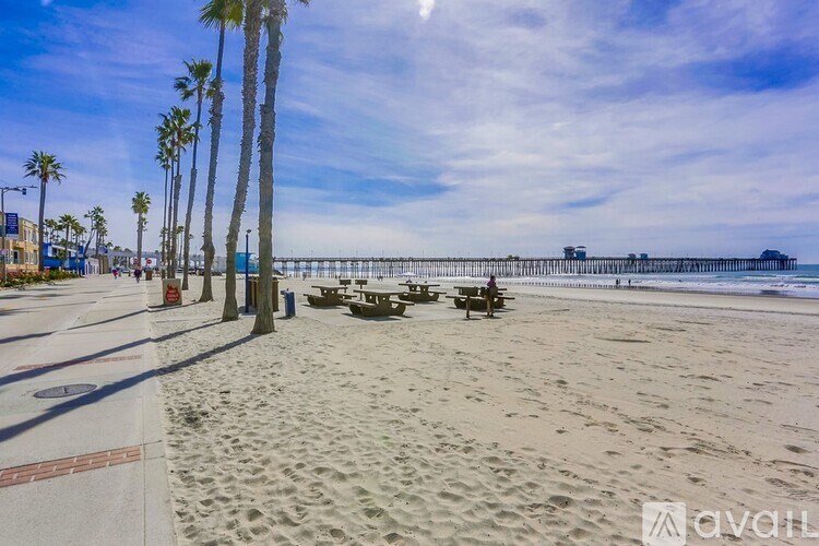 A beach scene with palm trees and a pier in the distance.