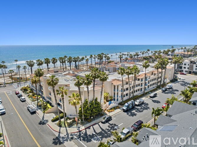 A street view of a coastal area with palm trees and buildings.
