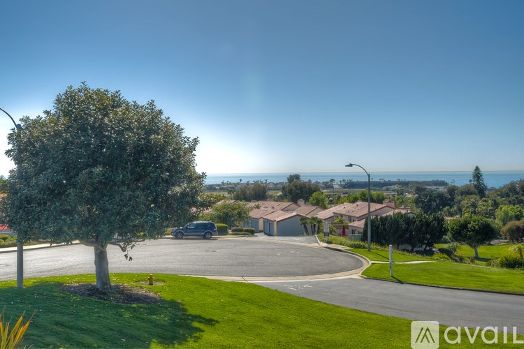A tree in a grassy area with houses in the background.