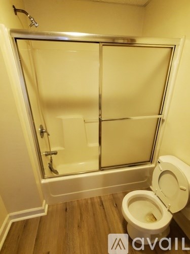A bathroom with a toilet and a walk-in shower.