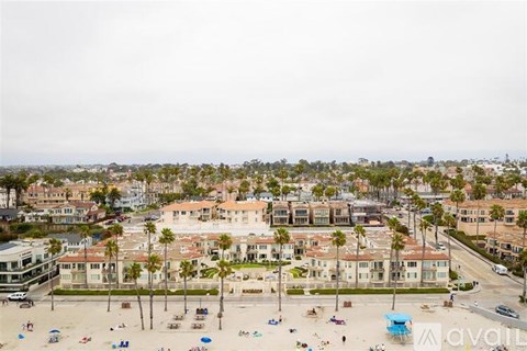 A beachfront area with a row of buildings and palm trees.