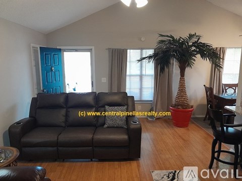 A living room with a black leather couch and a palm tree in a red pot.