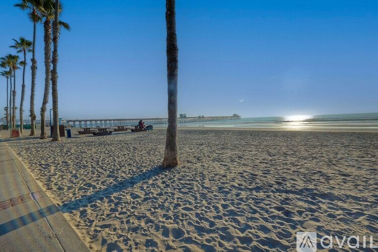 A beach scene with palm trees and a clear sky.