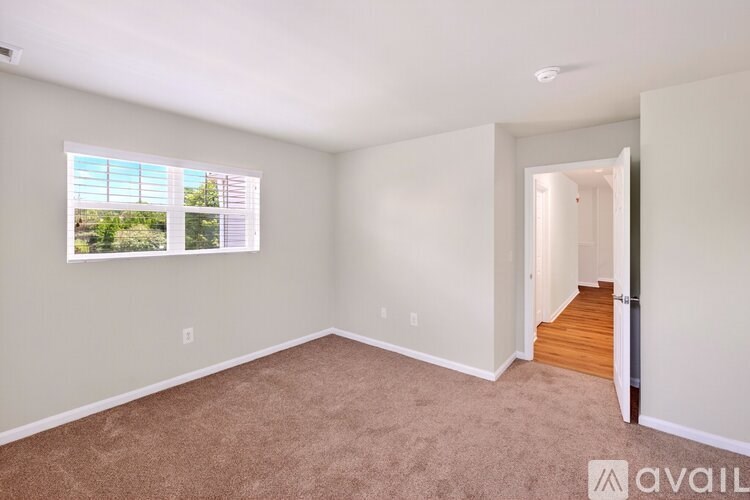 A room with a window and a carpeted floor.