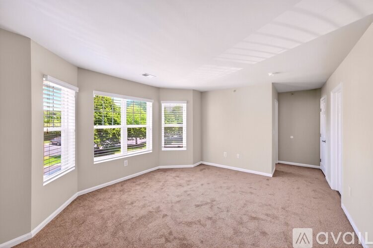 A room with carpeted floor, white walls, and a window with a view of trees and a road outside.