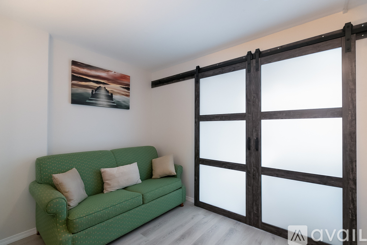 A green couch with two pillows sits in front of a wooden sliding door.