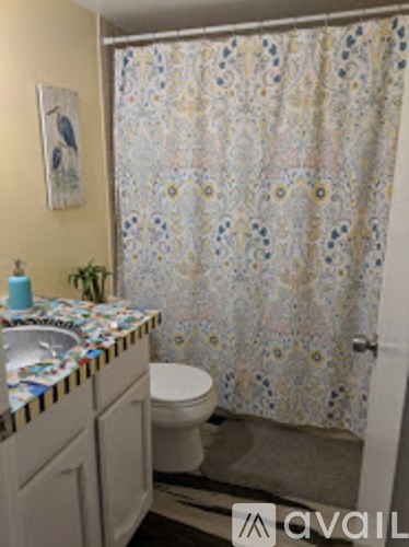 A bathroom with a floral shower curtain and a toilet.