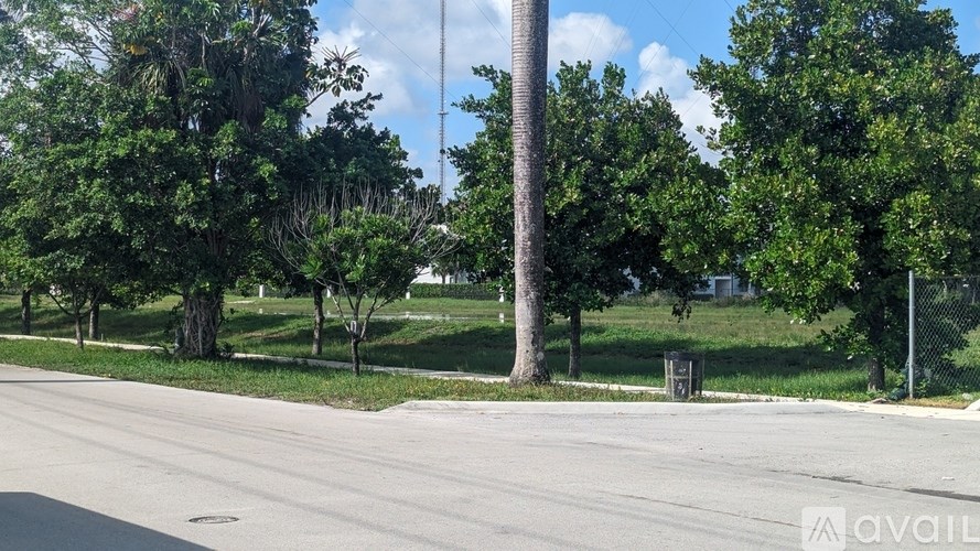 A tree-lined street with a sidewalk and a trash can.