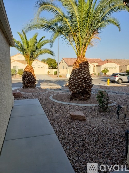 Two palm trees in a front yard with a white fence and houses in the background.