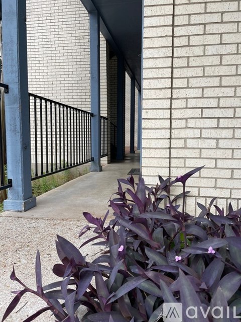 A purple plant grows in front of a white brick wall.