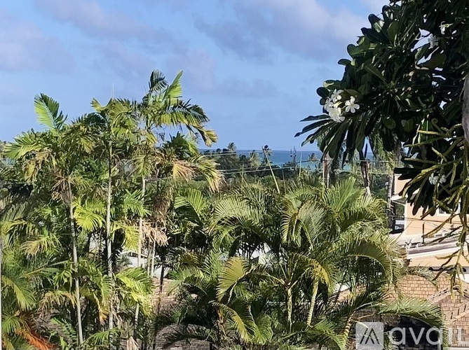 A view of a beach with palm trees and a sign that reads "AQV".