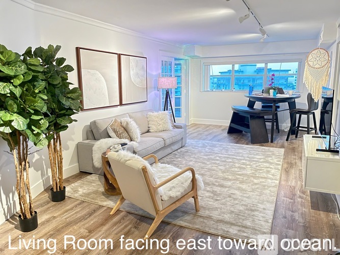 A living room with a couch, chair, and a plant.