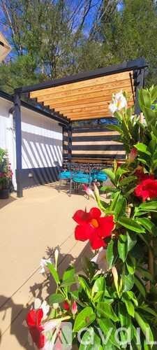 A pool area with a wooden pergola and a red flower in the foreground.