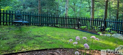 A backyard with a black fence and a small garden with purple flowers.