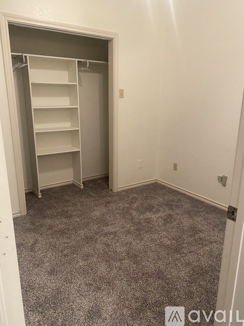 A white closet with shelves and a carpeted floor.