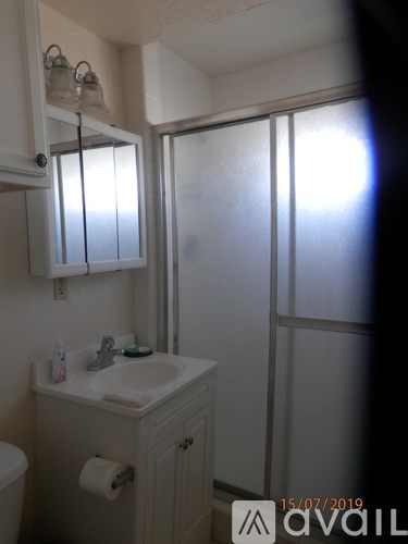 A bathroom with a sink, toilet, and frosted glass shower door.