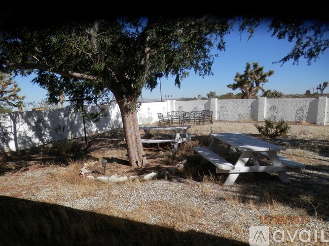 A picnic table is situated under a tree in a dry grassy area.