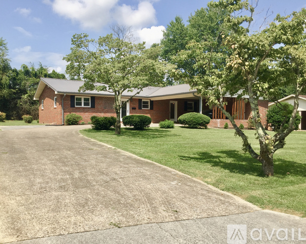 A house with a driveway and trees in front.